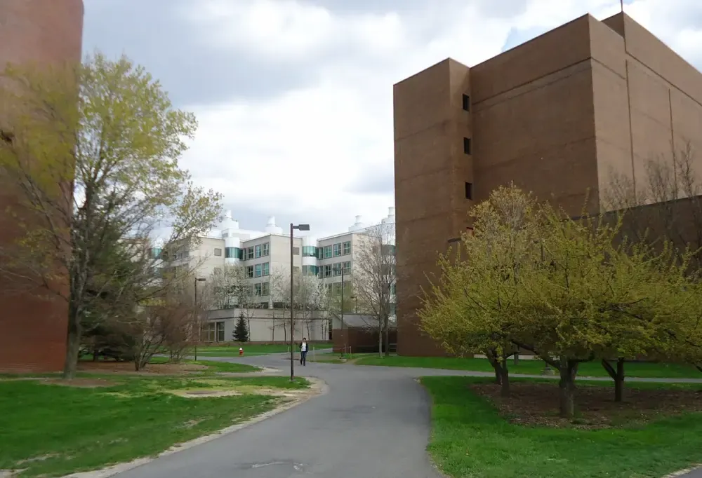 Cornell University campus walkway with student walking between buildings and trees